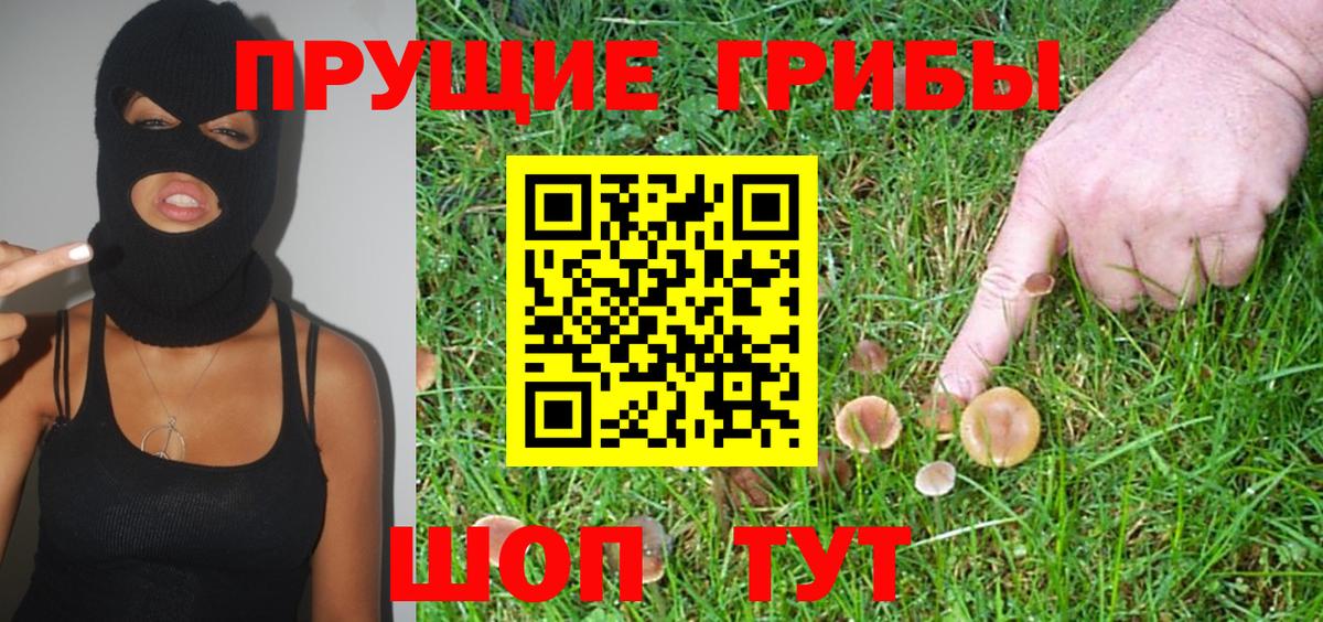 Псилоцибиновые грибы мицелий Моздок
