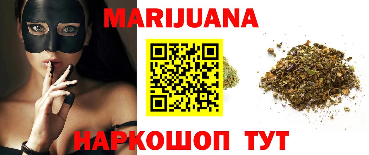 Канабис сатива Моздок